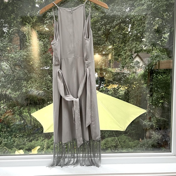 Gray Silver Fringe Dress Naked Zebra - Picture 2 of 4